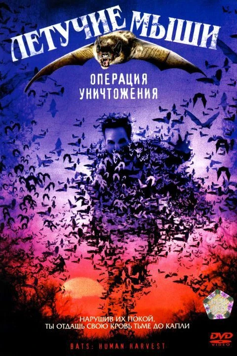 Летучие мыши: Операция уничтожения