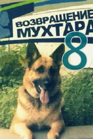 Возвращение Мухтара 8