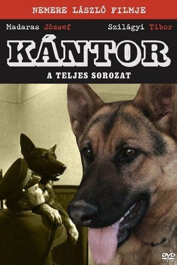 Kántor