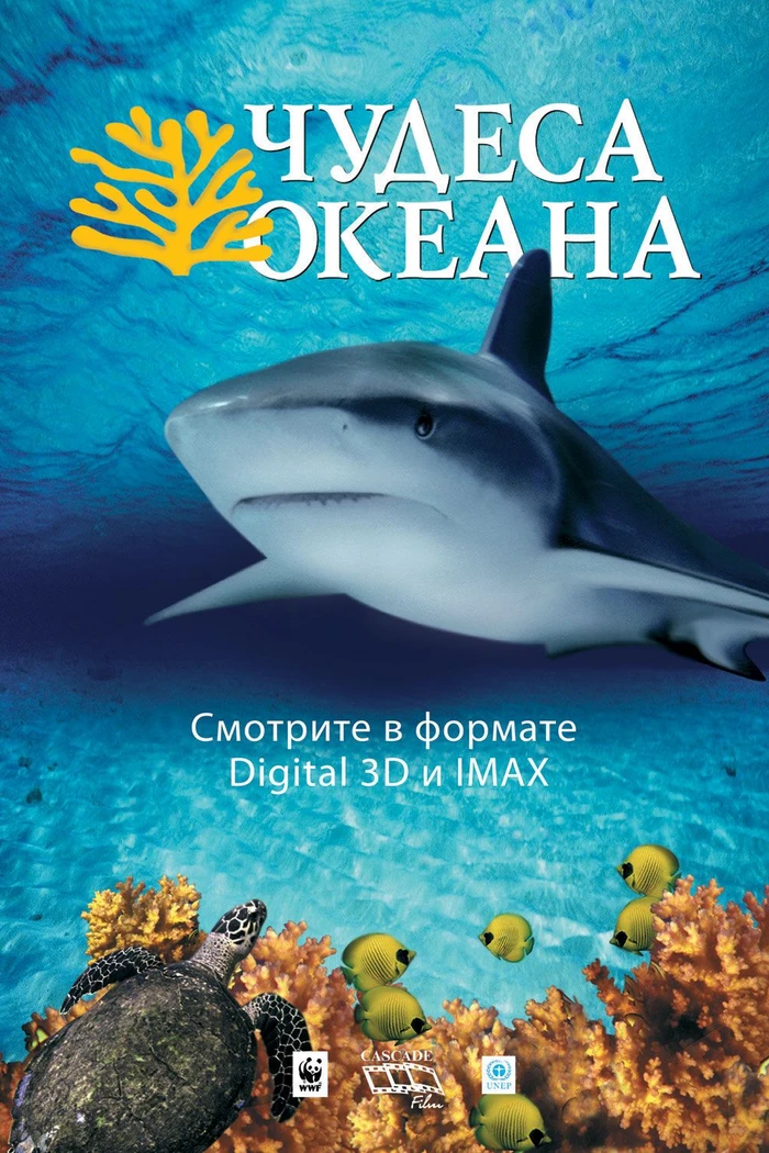 Чудеса океана 3D