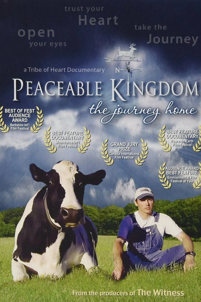 Мирное королевство. Возвращение домой