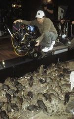 Кэйси Хотчкисс