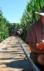 Дэвид В. Уорфилд