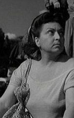 Йоле Сильвани