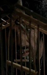 Лэнс Гордон