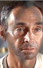 Тим Херберт