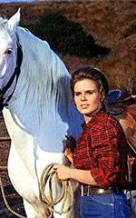 Расселл Лэйн