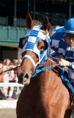 Отто Торварт