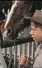 Брэд Морроу