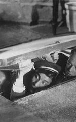 Роланд Варно