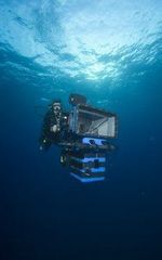 Саймон Кристидис