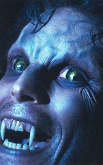 Дон МакЛеод