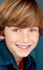 Стил Стеббинс