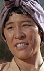 Сидзуко Хоси