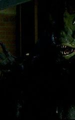 Рон Стефанюк