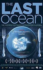 Дэйв Гибсон